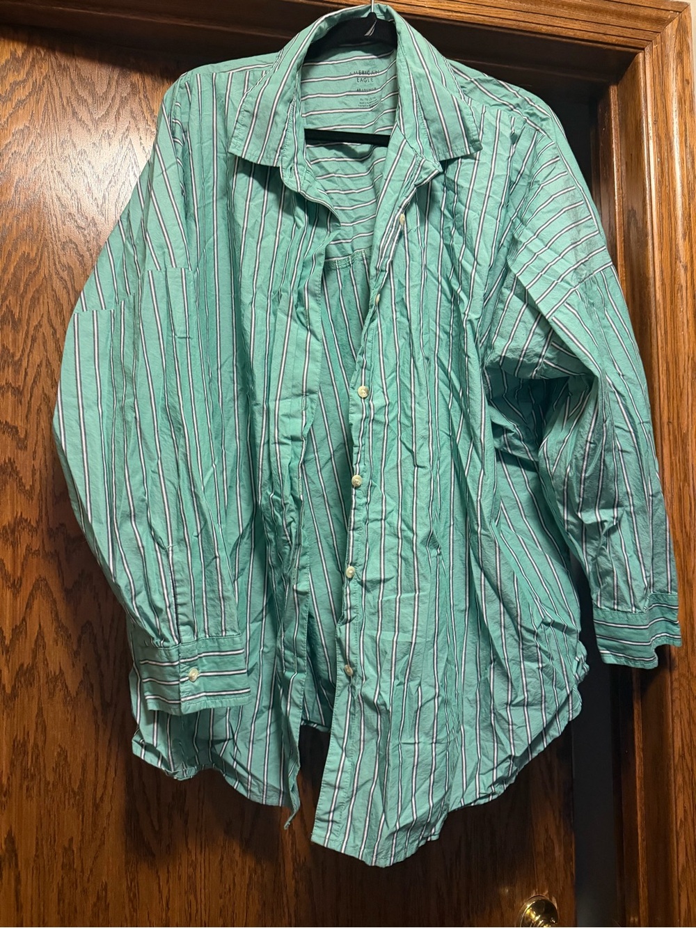 American Eagle Outfitters Mint Green Striped Button-Up Shirt